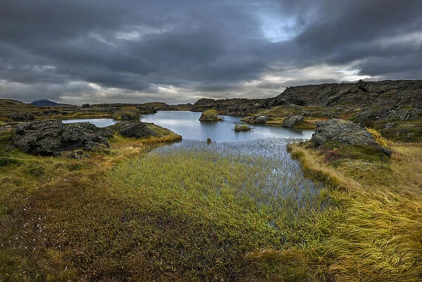 Myvatn. Iceland is not only Waterfalls and Northern Lights