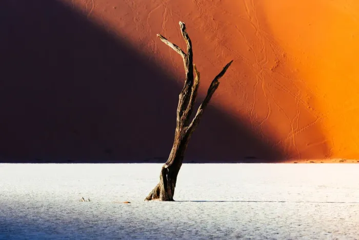 Framed Print : Namib desert, Deadvlei at Sossusvlei sand dunes, Namibia, Africa Framed Print : Namib desert, Deadvlei at Sossusvlei sand dunes, Namibia, Africa
