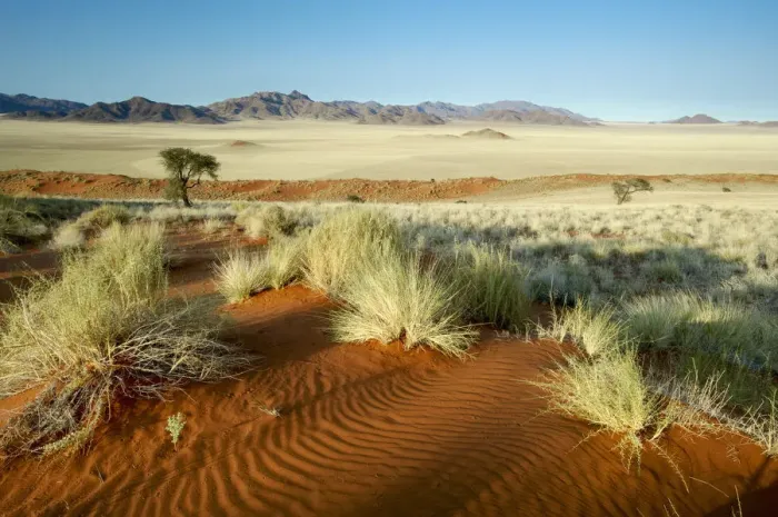 Framed Print : Namib Desert, Namibia Framed Print : Namib Desert, Namibia