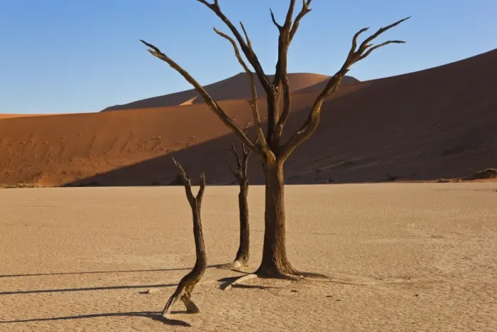 Framed Print : Namib Naukluft National Park, Namibia Framed Print : Namib Naukluft National Park, Namibia
