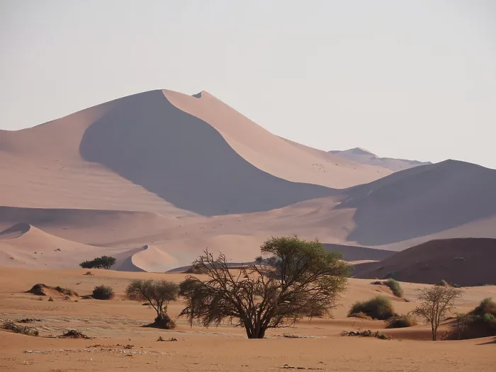 Framed Print : Namibia. The sand dunes at Sossusvlei in The Namib-Naukluft national park Framed Print : Namibia. The sand dunes at Sossusvlei in The Namib-Naukluft national park