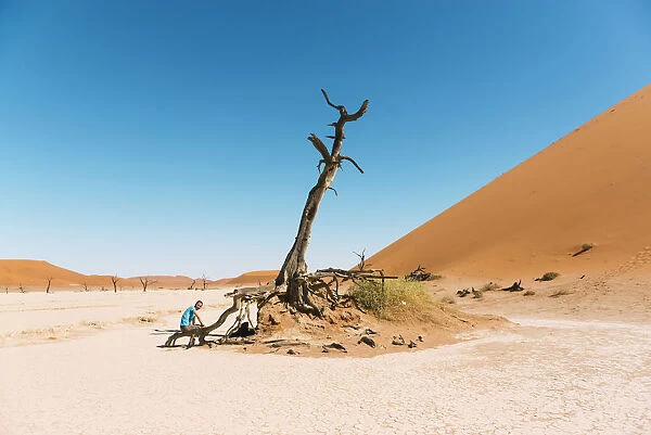 Namibia, Namib Desert, Namib Naukluft Park, Sossusvlei, Deadvlei