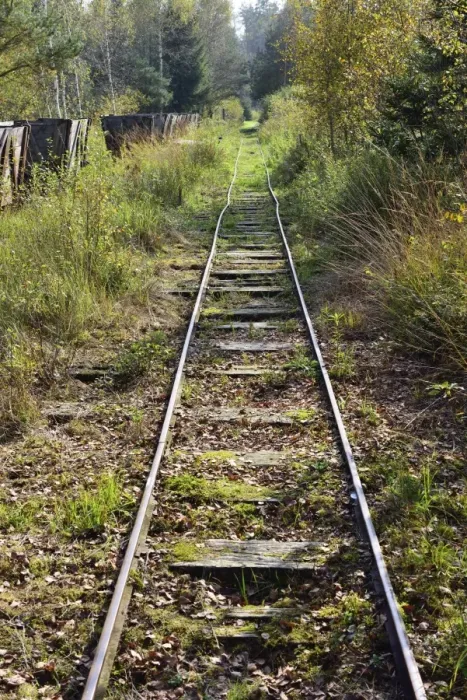 Framed Print : Narrow gauge railway tracks, former peat railway, Nicklheim, Upper Bavaria, Bavaria, Germany Framed Print : Narrow gauge railway tracks, former peat railway, Nicklheim, Upper Bavaria, Bavaria, Germany