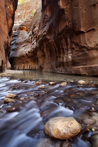 The Narrows, narrow point of the Virgin River, Zion National Park, Utah, USA, America