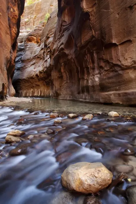 Framed Print : The Narrows, narrow point of the Virgin River, Zion National Park, Utah, USA, America Framed Print : The Narrows, narrow point of the Virgin River, Zion National Park, Utah, USA, America