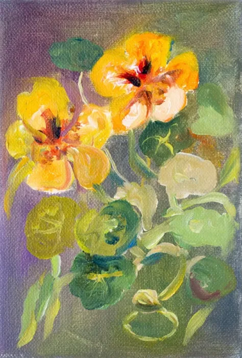 Framed Print : Nasturtium flowers oil painting Framed Print : Nasturtium flowers oil painting
