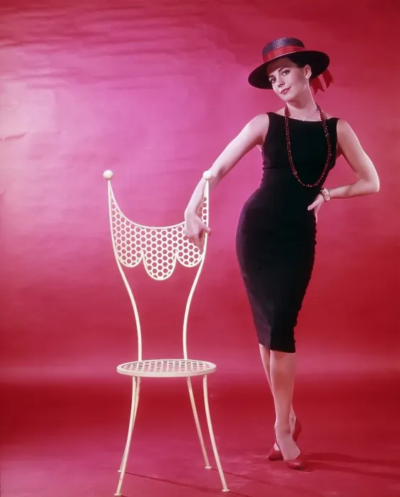 open lace back dress candid Natalie Wood Robert Wagner at home 35m-13109  ABCDVDVIDEO