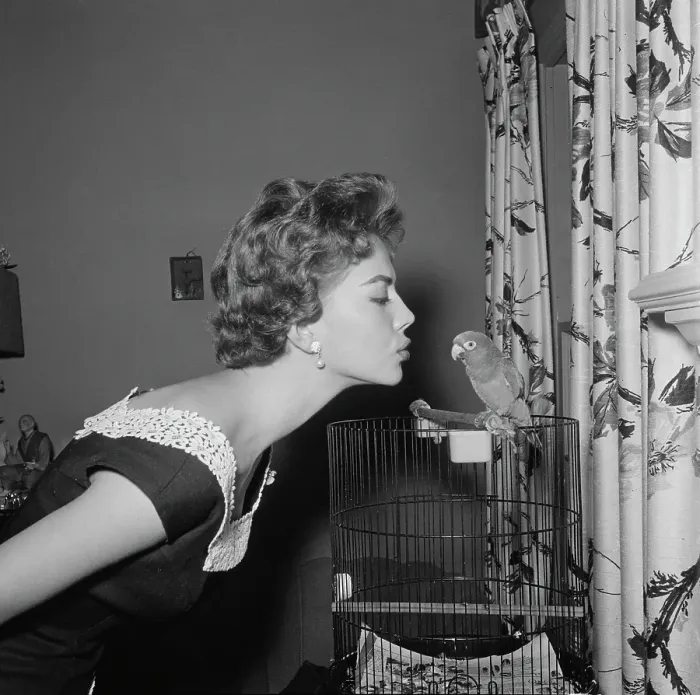 Framed Print : Natalie Wood