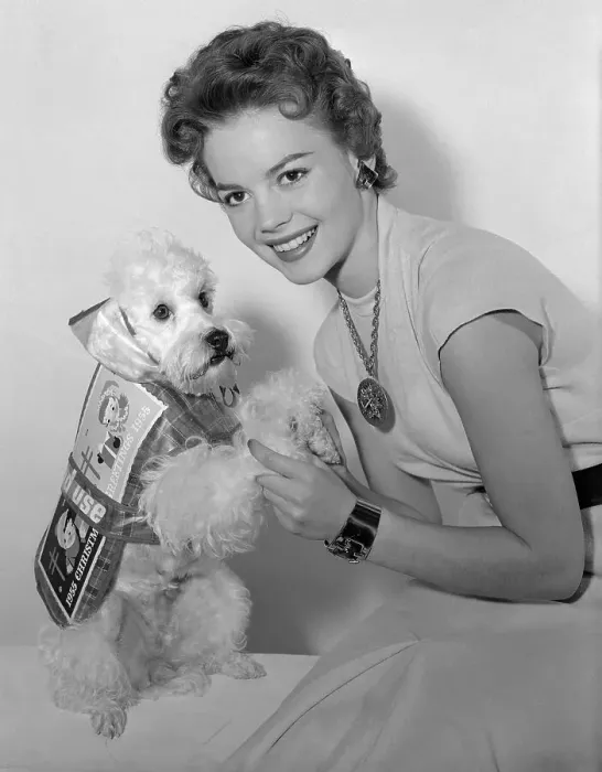 Framed Print : Natalie Wood Posing with Her Dog Framed Print : Natalie Wood Posing with Her Dog