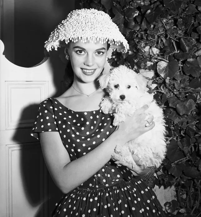 Framed Print : Natalie Wood Posing with Her Poodle Framed Print : Natalie Wood Posing with Her Poodle