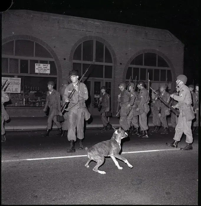 Framed Print : National Guard Marching near Dog Framed Print : National Guard Marching near Dog