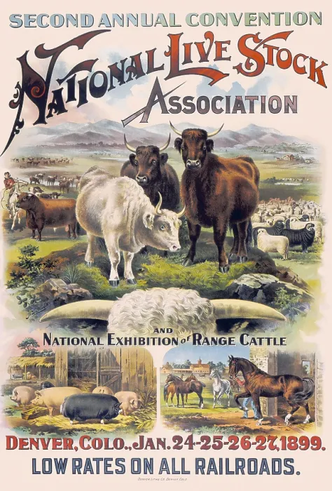 Framed Print : National Live Stock Association Convention Framed Print : National Live Stock Association Convention