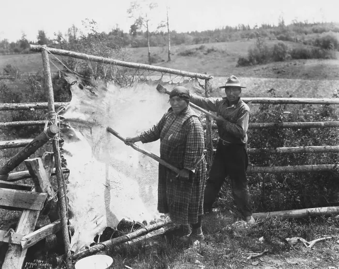 Framed Print : Native American Couple Finishing Buffalo Hide in Their Yard Framed Print : Native American Couple Finishing Buffalo Hide in Their Yard