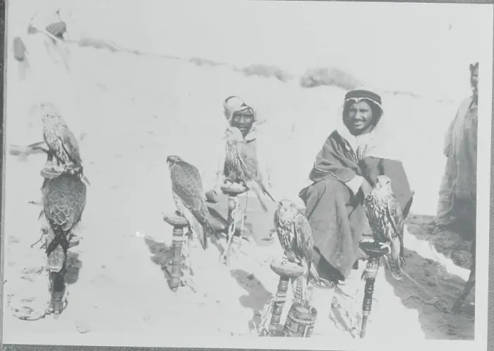 Framed Print : Native Arabian with Hunting Hawks Framed Print : Native Arabian with Hunting Hawks