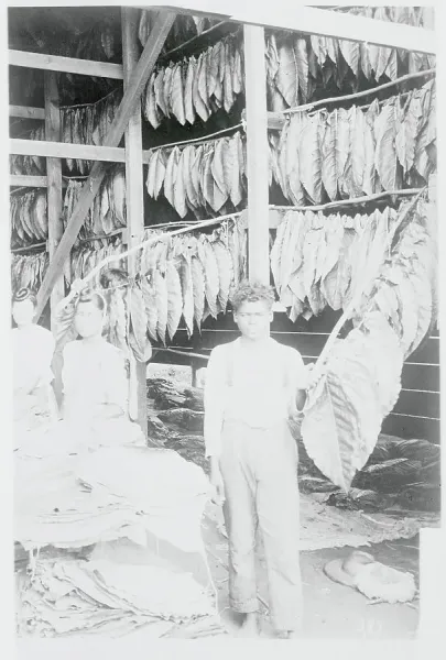tobacco junction gilmer tx Careers at Tobacco Junction