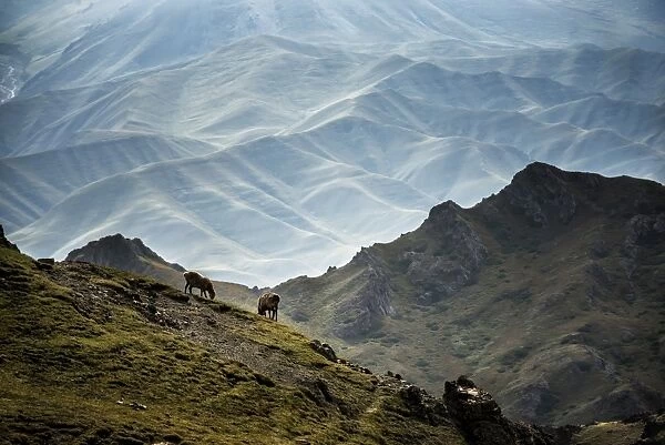 Natural Landscapes in Xinjiang