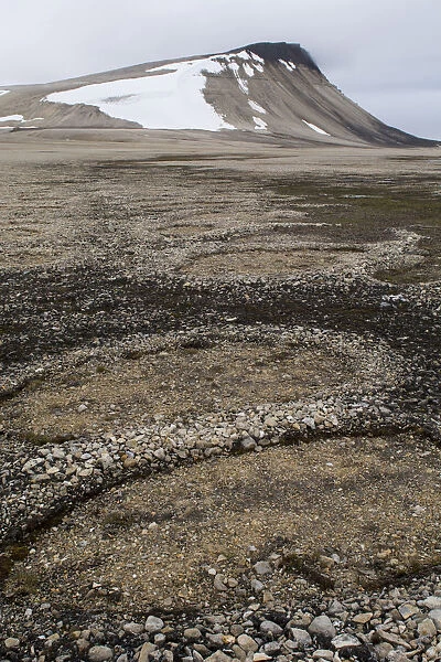 Natural stone circles caused by cryoturbation (aka frost churning), Arctic desert habitat, Palanderbukta (Palander Bay) Zeipelodden, Nordaustlandet, Svalbard, Norway