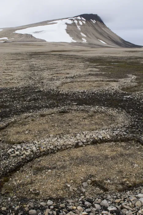 Framed Print : Natural stone circles caused by cryoturbation (aka frost churning), Arctic desert habitat, Palanderbukta (Palander Bay) Zeipelodden, Nordaustlandet, Svalbard, Norway Framed Print : Natural stone circles caused by cryoturbation (aka frost churning), Arctic desert habitat, Palanderbukta (Palander Bay) Zeipelodden, Nordaustlandet, Svalbard, Norway