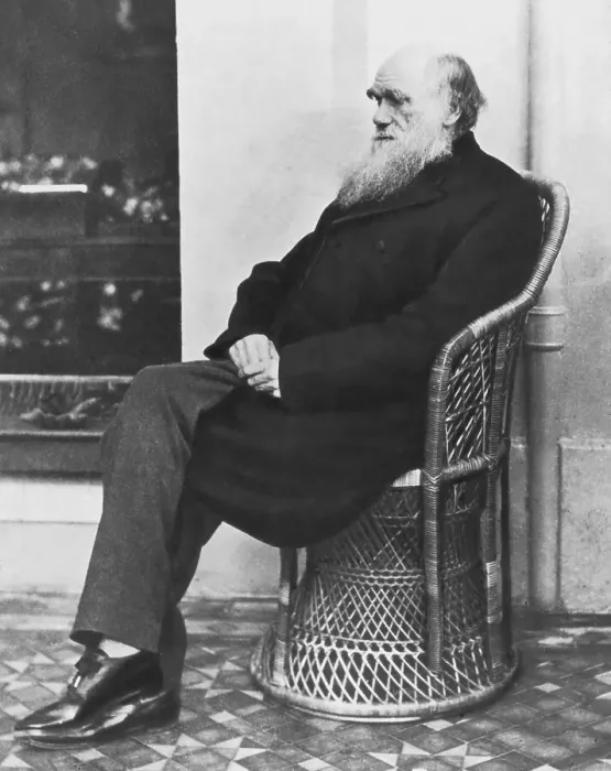 Framed Print : Naturalist Charles Darwin Seated Framed Print : Naturalist Charles Darwin Seated