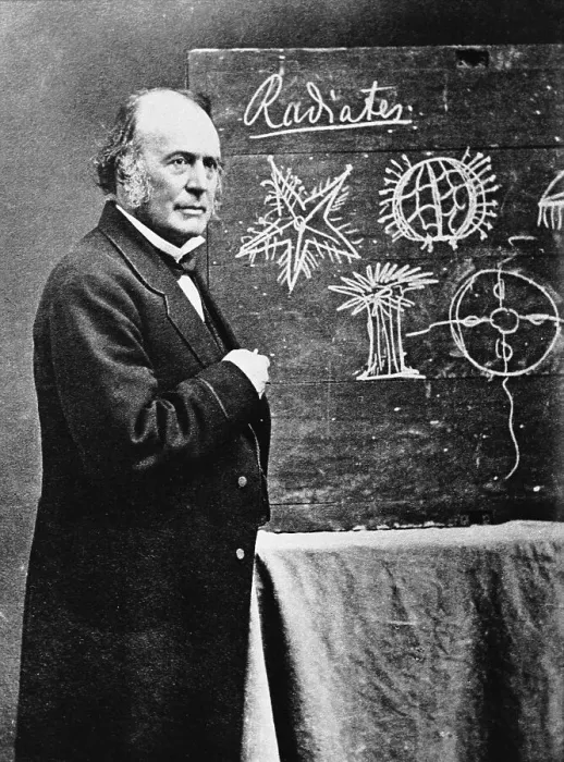 Framed Print : Naturalist Louis Agassiz with Diagram Framed Print : Naturalist Louis Agassiz with Diagram
