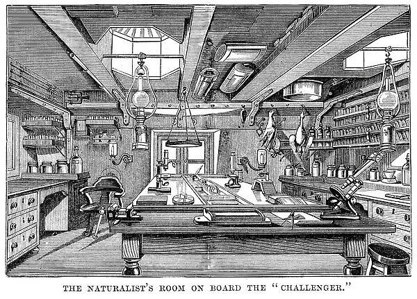 Naturalists Room on Board HMS Challenger