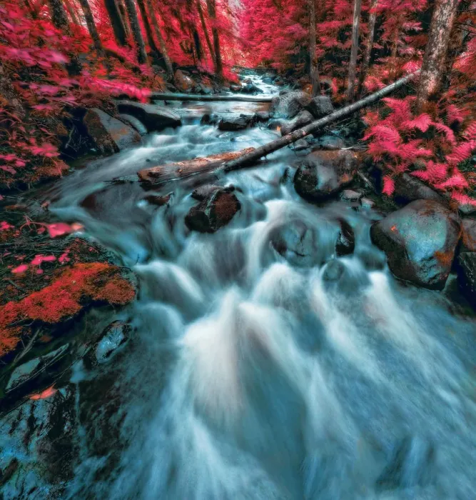 Framed Print : Nature Framed Print : Nature