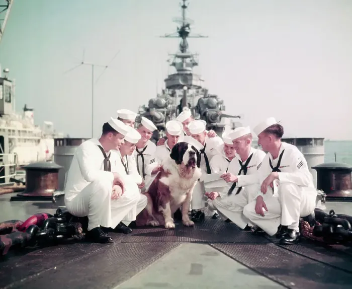 Framed Print : Navy Men on Deck with Dog Framed Print : Navy Men on Deck with Dog