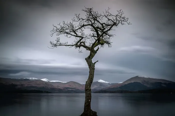Framed Print : Near Cashel - Milarochy Bay on the banks of Loch Lomond Framed Print : Near Cashel - Milarochy Bay on the banks of Loch Lomond