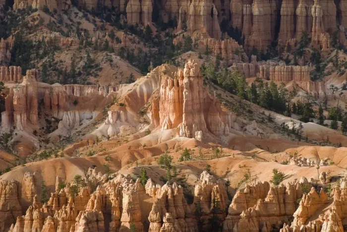 Framed Print : The Needles Of Bryce Canyon Framed Print : The Needles Of Bryce Canyon