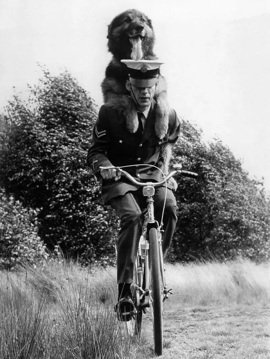 Framed Print : Neil Durant Riding with Dog on His Back Framed Print : Neil Durant Riding with Dog on His Back