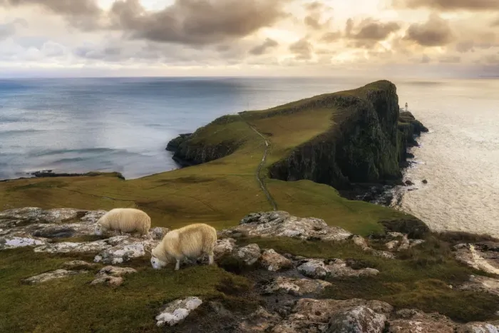 Framed Print : Neist Point, Isle of Skye, Highland, UK Framed Print : Neist Point, Isle of Skye, Highland, UK