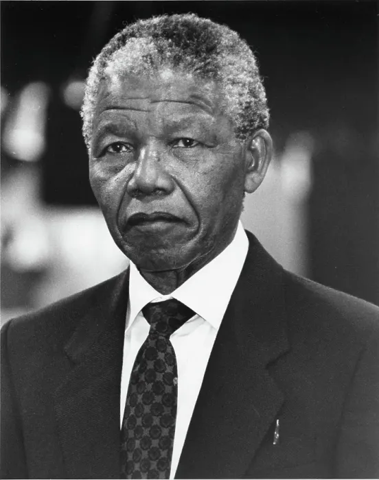 Framed Print : Nelson Mandela Portrait Framed Print : Nelson Mandela Portrait