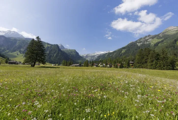 Framed Print : Nenzinger Himmel alpine meadow, Gamperdonatal, Nenzing parish, Raetikon, Vorarlberg, Austria Framed Print : Nenzinger Himmel alpine meadow, Gamperdonatal, Nenzing parish, Raetikon, Vorarlberg, Austria