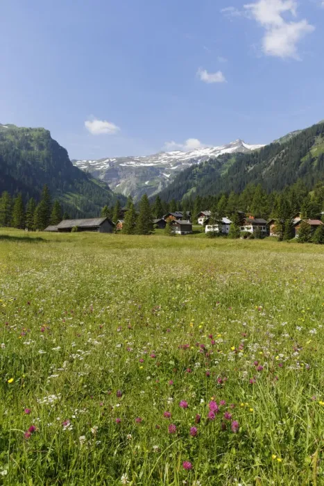 Framed Print : Nenzinger Himmel alpine meadow, Gamperdonatal, Nenzing parish, Raetikon, Vorarlberg, Austria