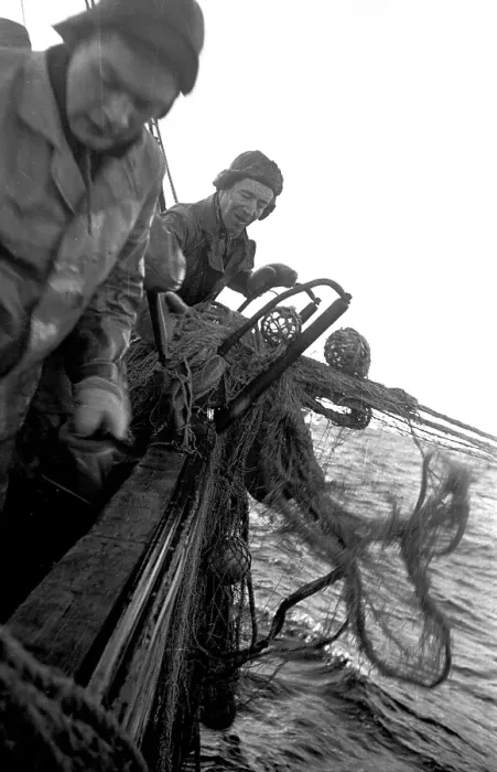 Framed Print : Net Hauling Framed Print : Net Hauling