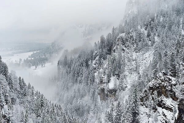 Neuschwanstein valleys after a snowfall