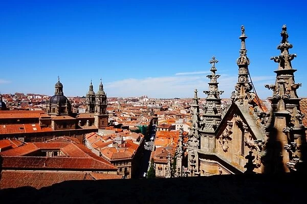 New Cathedral and Overview, Salamanca, Spain