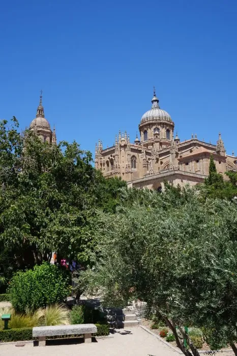 Framed Print : New Cathedral of Salamanca seen from Park, Spain Framed Print : New Cathedral of Salamanca seen from Park, Spain