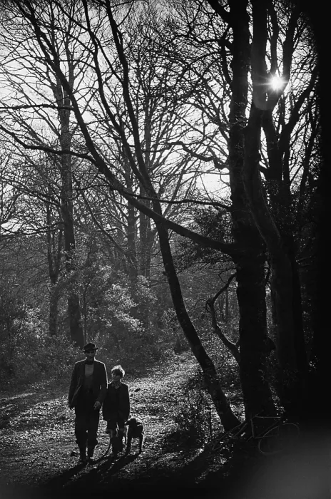 Framed Print : New Forest Residents Framed Print : New Forest Residents