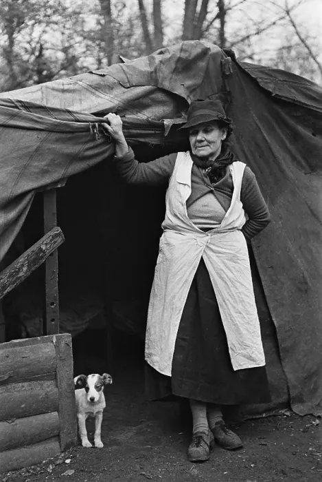 Framed Print : New Forest Tent Dweller Framed Print : New Forest Tent Dweller