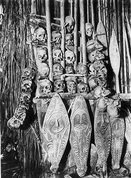 New Guinea Skulls