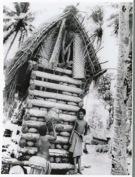 Framed Print : New Guineans Elevating Items to Home Framed Print : New Guineans Elevating Items to Home