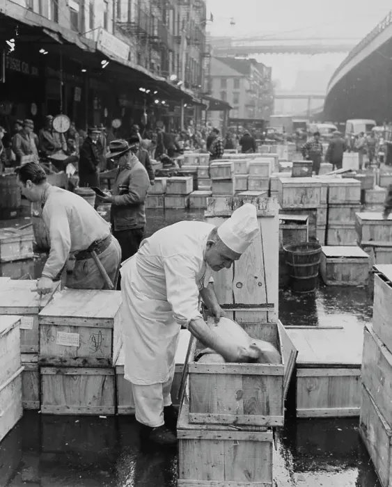 Framed Print : New York City fish market Framed Print : New York City fish market