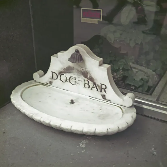 Framed Print : New York Dog Bar Framed Print : New York Dog Bar