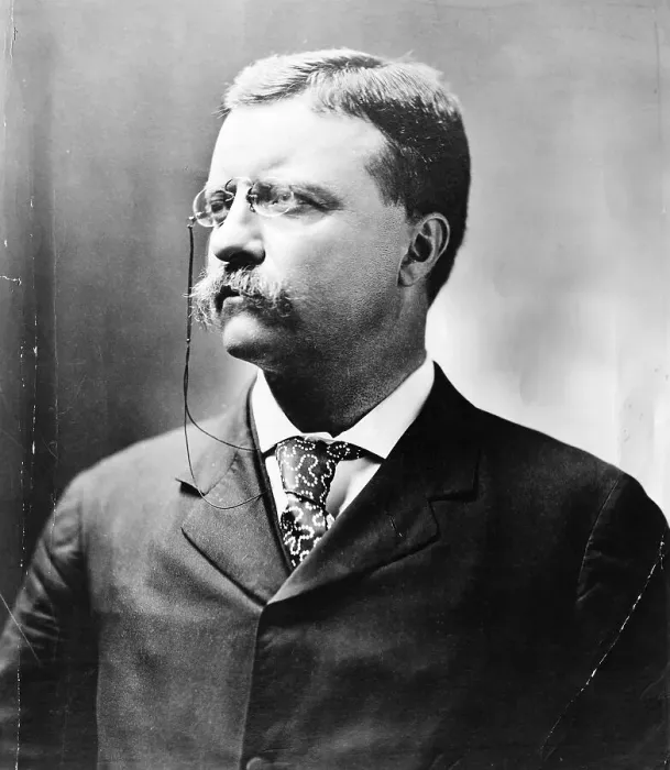Framed Print : New York Governor Theodore Roosevelt Framed Print : New York Governor Theodore Roosevelt