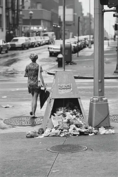 Framed Print : New York Litter Framed Print : New York Litter