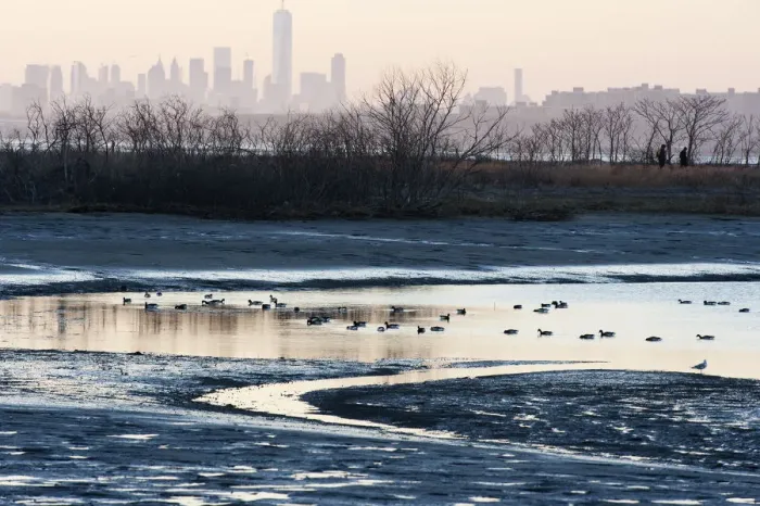 Framed Print : New York skyline with waterfowl in Late winter Framed Print : New York skyline with waterfowl in Late winter