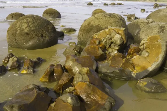 Framed Print : New Zealand, South Island, Otago, Moeraki Boulders on beach