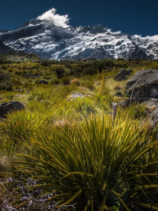 Framed Print : Newzealand trekking trail landscape Framed Print : Newzealand trekking trail landscape