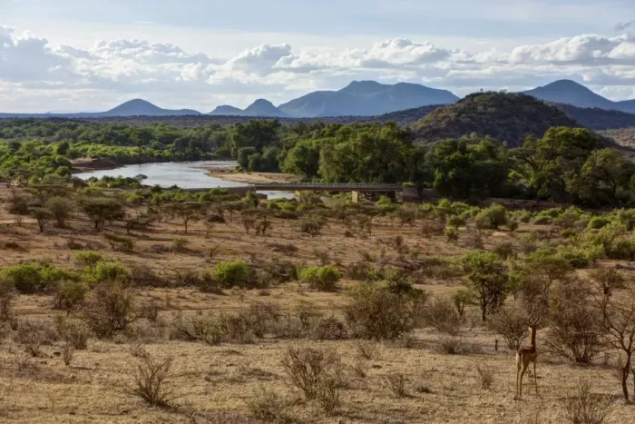 Framed Print : Ng iro Bridge crossing the Ewaso Ng iro River in Samburu National Reserve, Kenya, East Africa, Africa, PublicGround Framed Print : Ng iro Bridge crossing the Ewaso Ng iro River in Samburu National Reserve, Kenya, East Africa, Africa, PublicGround